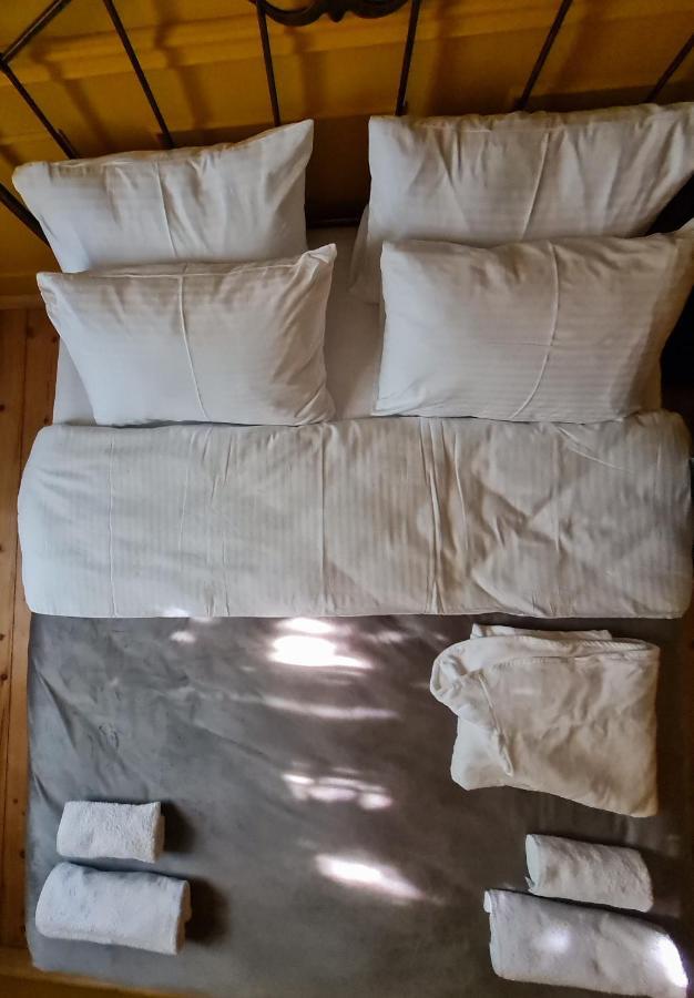 公寓 Floor Apartment+balcony In Sololaki / 25 第比利斯